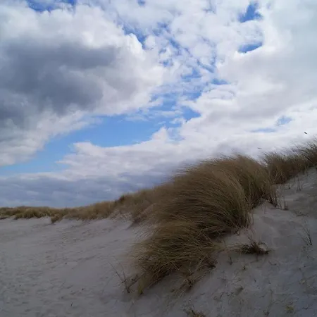 Seahorse * Ostseeheilbad Zingst